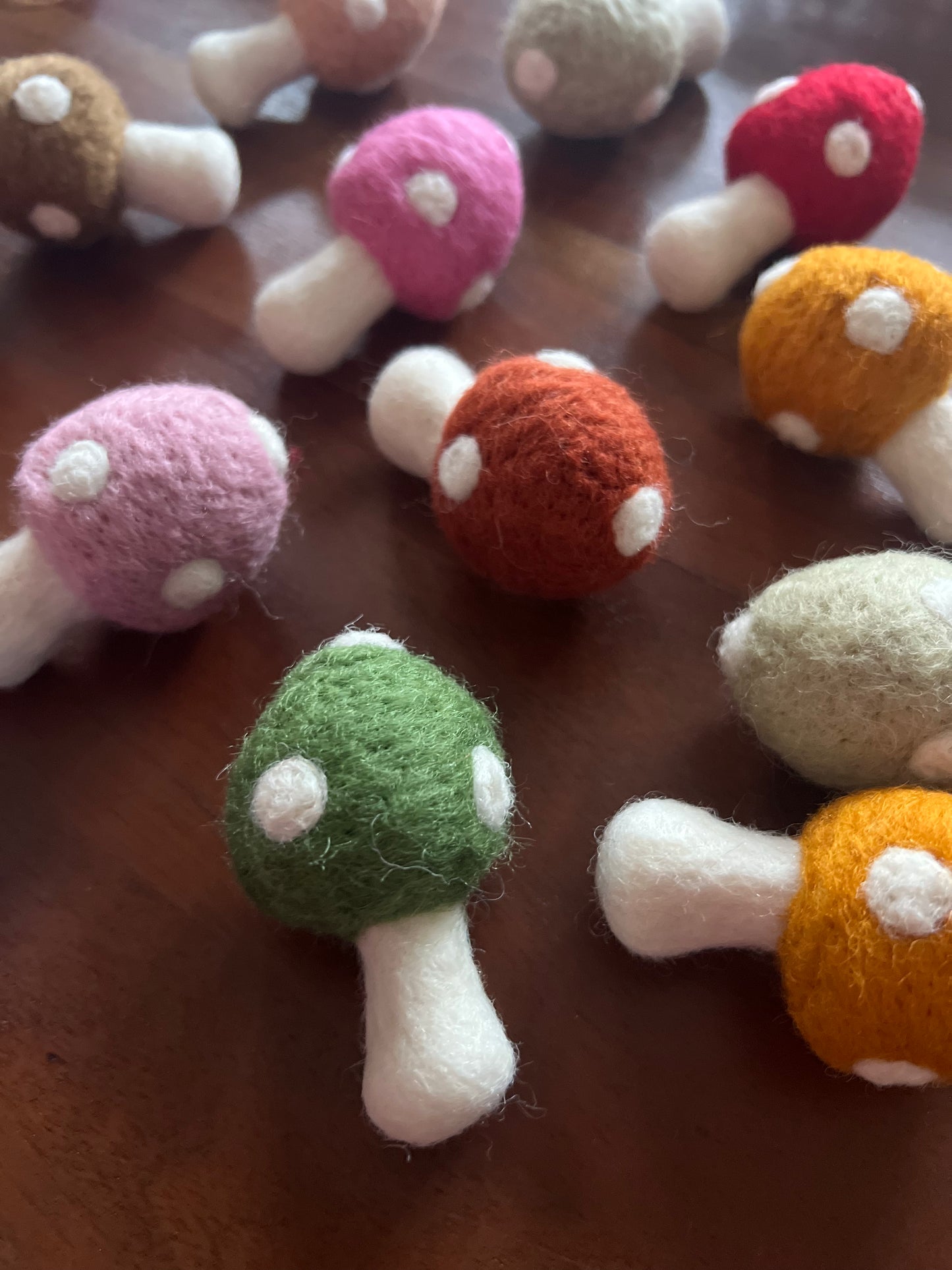 Colourful mushrooms