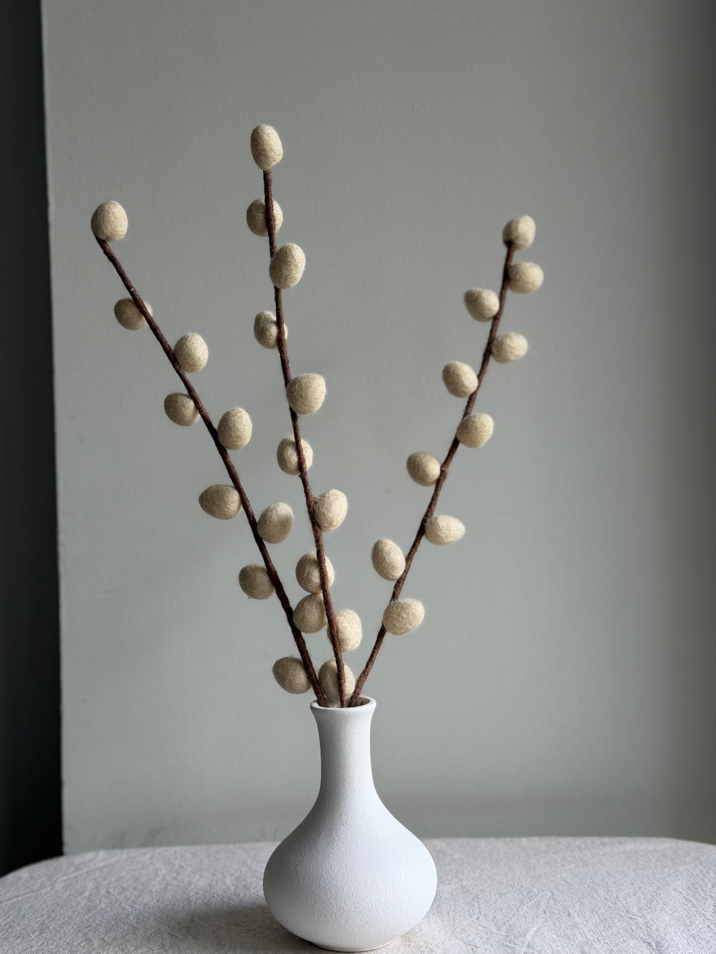 Pussy Willow Stem