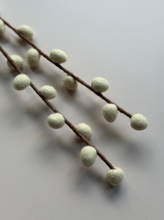 Pussy Willow Stem