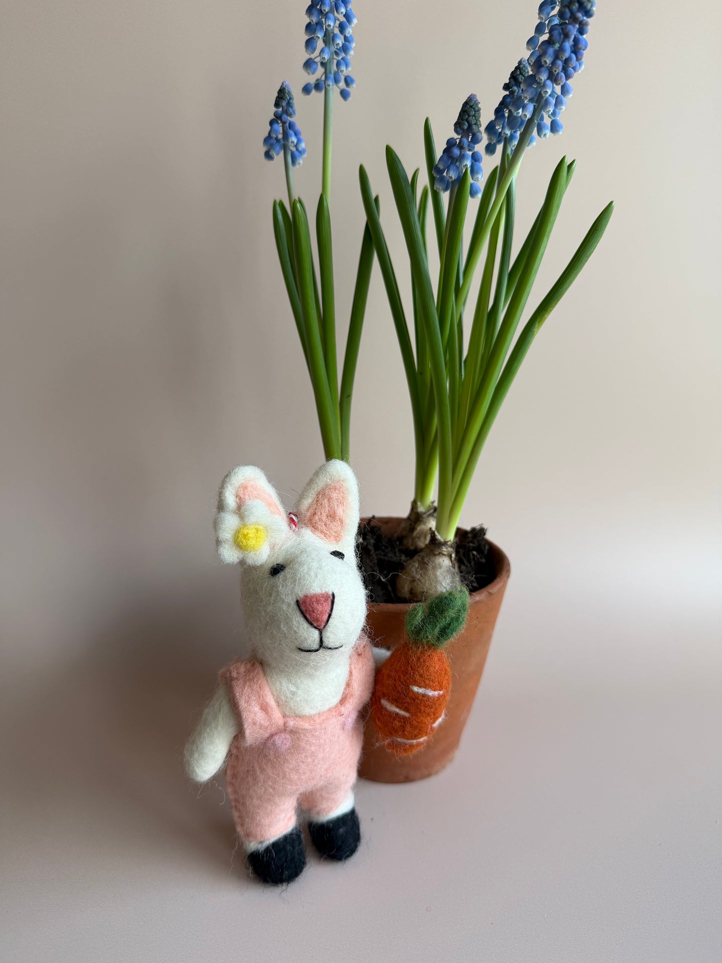 Millie, The Gardener Bunny