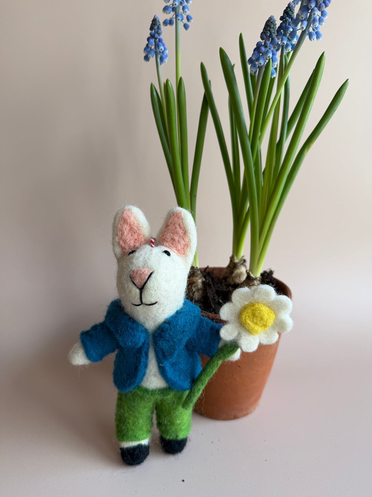 Oliver, The Flower Gatherer Bunny