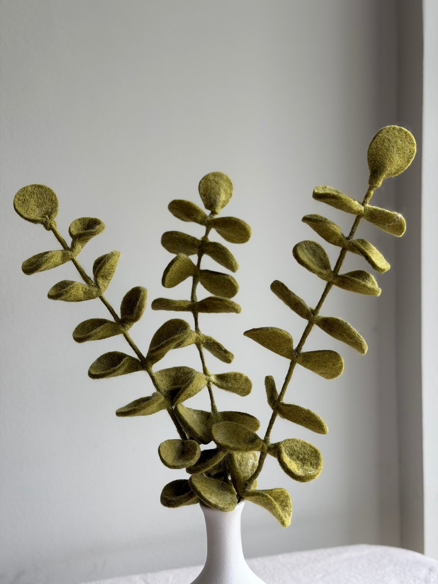 Eucalyptus Stem